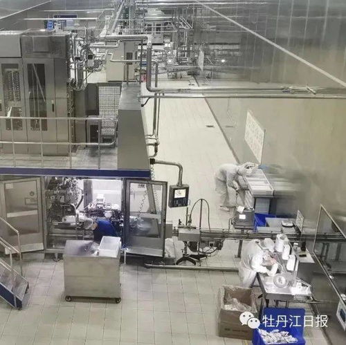 中俄跨境乳制品加工廠項目 前5個月產值增長超300%，奶制品批發與進出口蓬勃發展